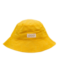 Poal Llimoner